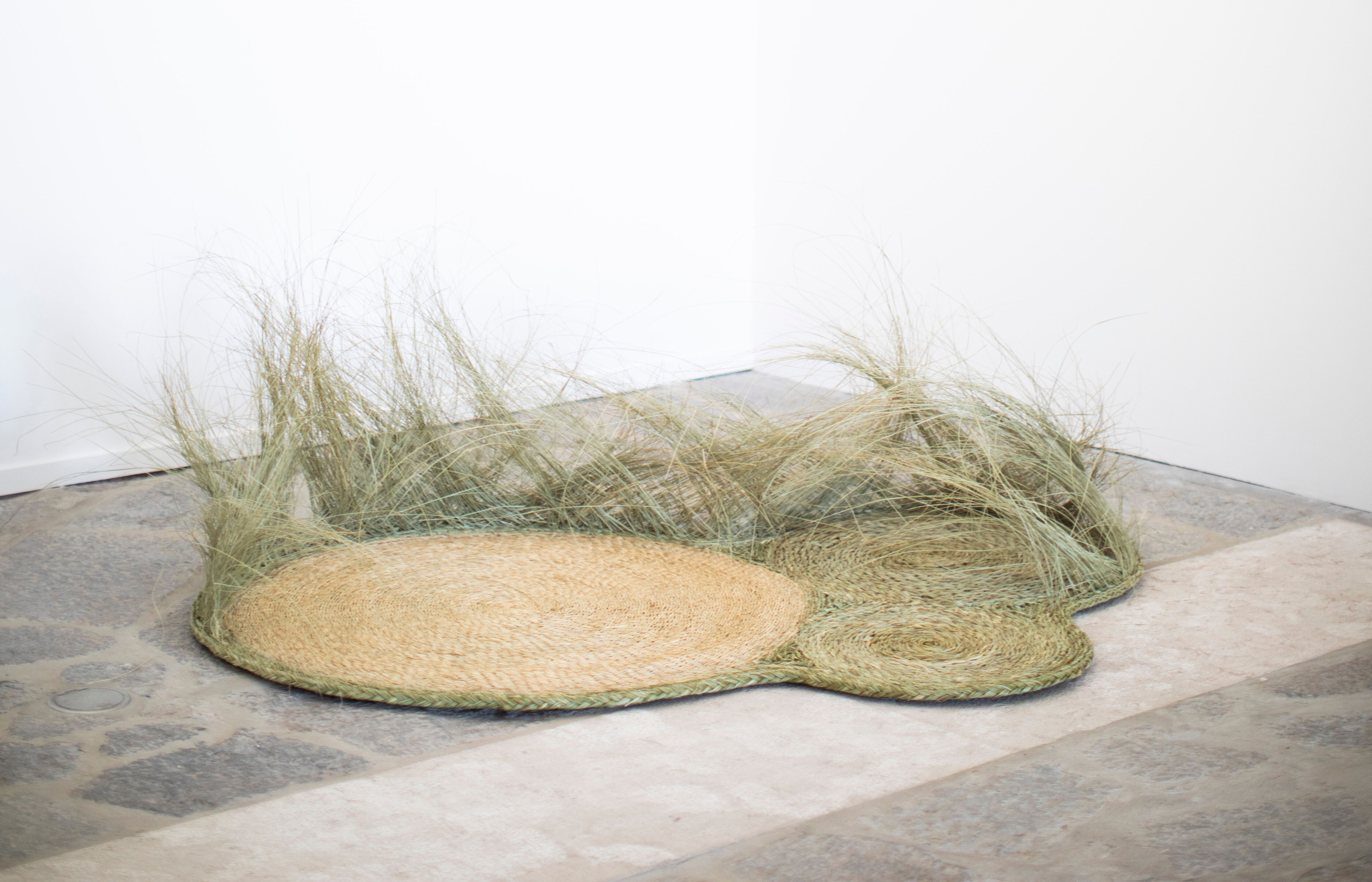 Clareira
173 x 115 x 51 cm
Avoine géante, fil de lin
Installation du tapis au musée d